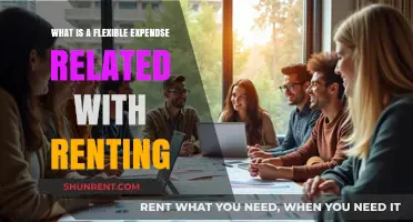 Understanding Flexible Expenses: What Renters Should Know About Variable Costs