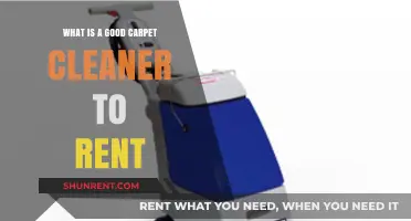 Top Rental Carpet Cleaners: Best Options for Spotless Results