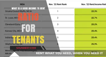 Ideal Income-to-Rent Ratio: A Tenant's Guide to Affordable Living