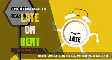 Unexpected Circumstances: Valid Reasons for Late Rent Payments Explained