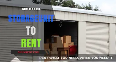 Choosing the Perfect Storage Unit: A Comprehensive Guide