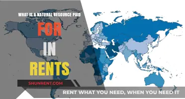 Understanding Natural Resource Rents: A Comprehensive Guide to Payment Models