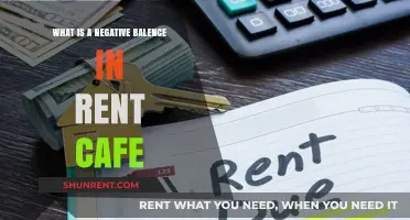 Understanding Negative Balances in RentCafe: Causes and Solutions