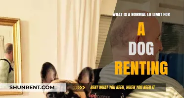 Understanding Normal Weight Limits for Dogs in Rental Properties