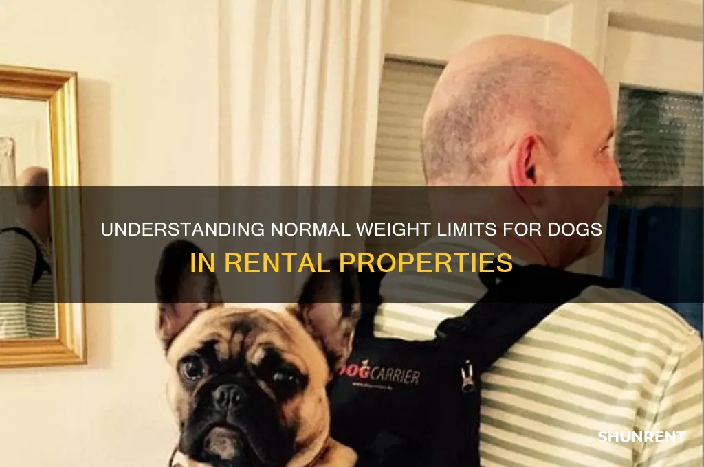 what is a normal lb limit for a dog renting
