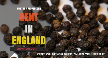 Understanding Peppercorn Rents in England: A Comprehensive Guide