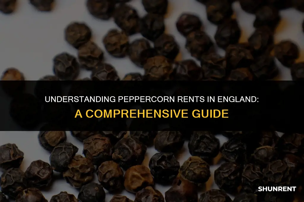 what is a peppercorn rent in england