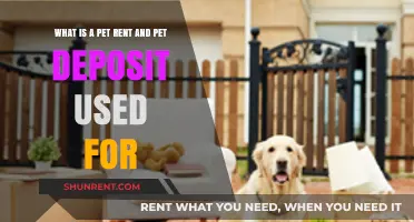 Understanding Pet Rent and Deposits: Purpose and Benefits for Pet Owners