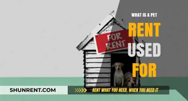 Understanding Pet Rent: What It's Used For and How It Works