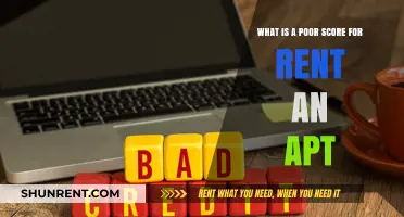 Understanding Poor Credit Scores: How Low is Too Low for Renting?