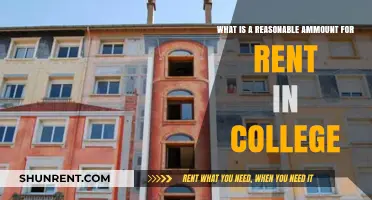 Balancing Budget and Comfort: Reasonable Rent for College Students