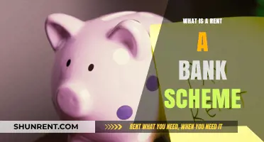 Unveiling the Rent-a-Bank Scheme: A Comprehensive Guide