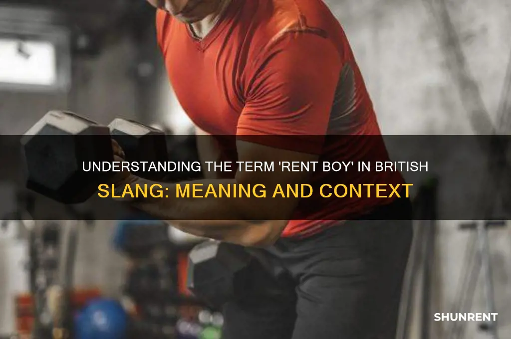 what is a rent boy in british slang
