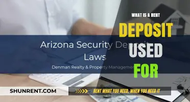 Understanding Rent Deposits: A Tenant's Guide to Security and Protection