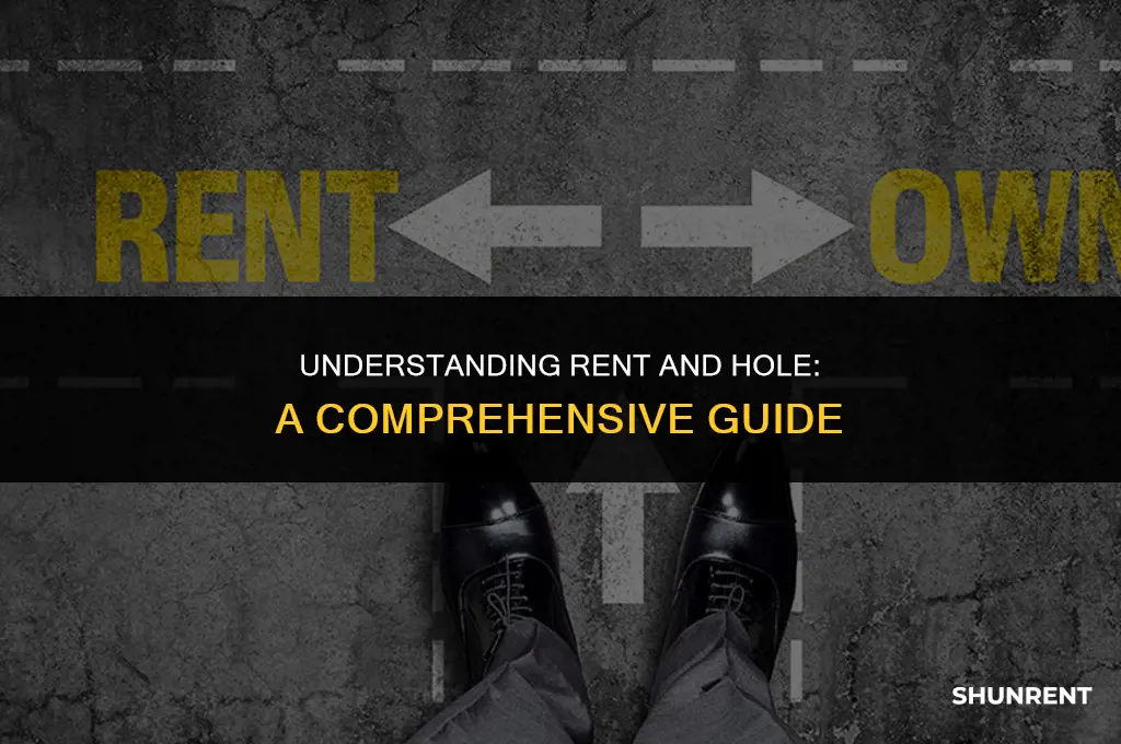 what is a rent or a hole