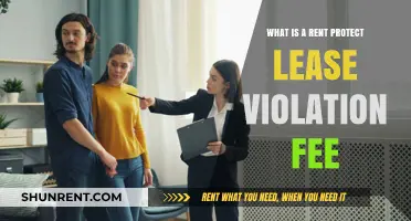 Understanding Rent Protect Lease Violation Fees: What Tenants Need to Know