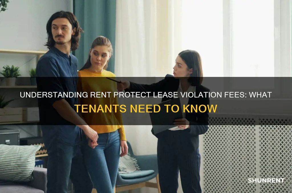 what is a rent protect lease violation fee