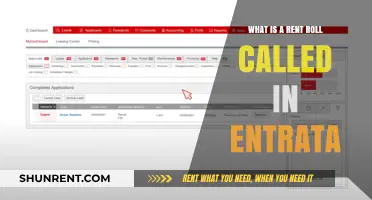 Understanding Rent Roll Terminology in Entrata: A Comprehensive Guide