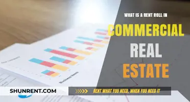 Understanding Rent Rolls: Essential Insights for Commercial Real Estate Investors