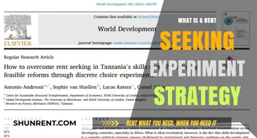 Exploring Rent-Seeking Strategies: A Comprehensive Guide to Economic Experiments