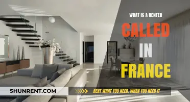 Understanding French Rental Terminology: What's a Renter Called in France?