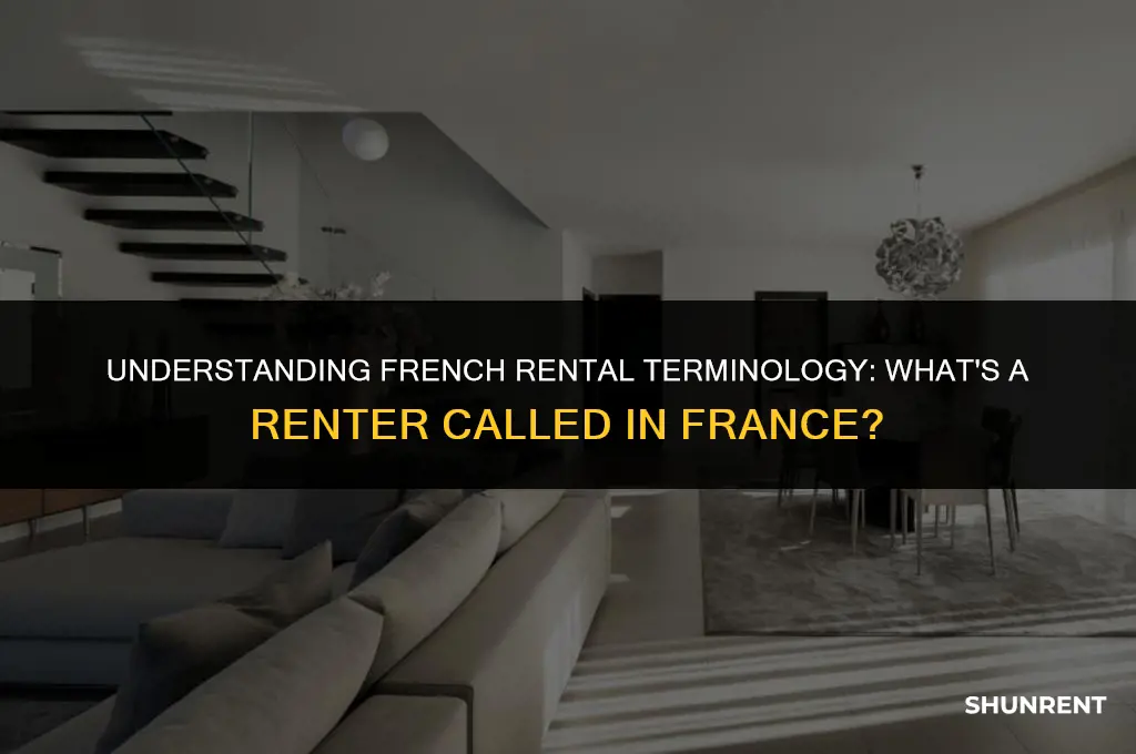 what is a renter called in france