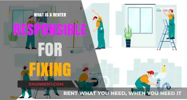 Renter's Repair Responsibilities: A Comprehensive Guide