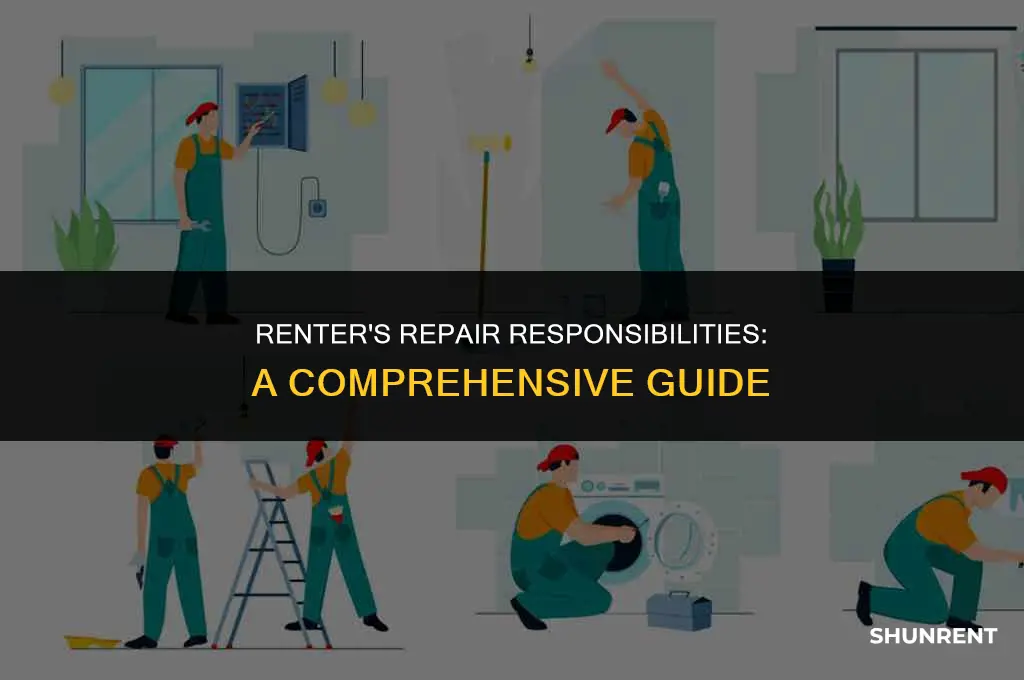what is a renter responsible for fixing