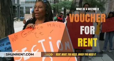 Understanding Section 8 Vouchers: Affordable Rent Assistance Explained