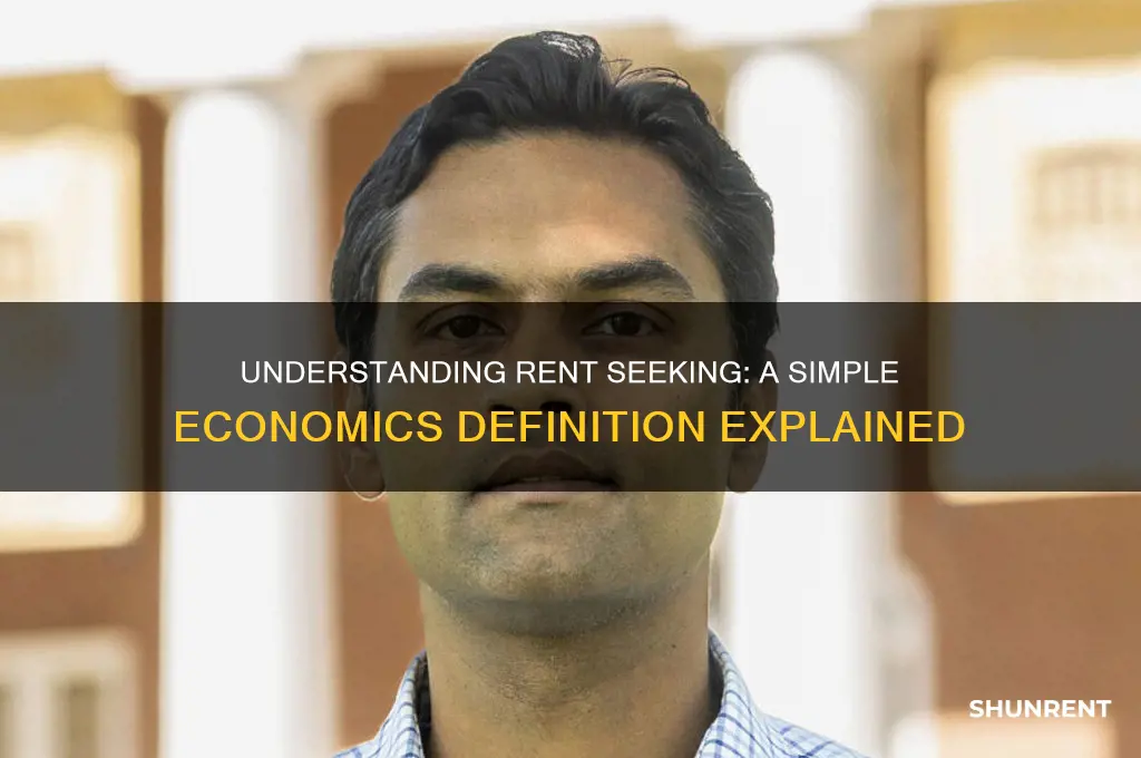 what is a simple definition for rent seeking in economics