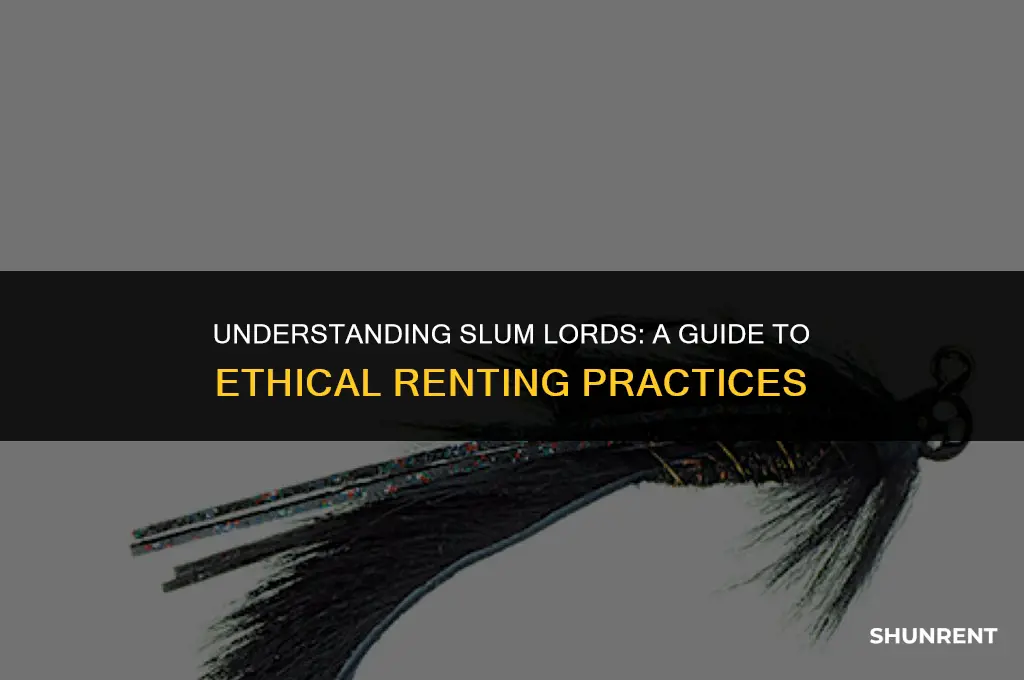 what is a slum lord in renting