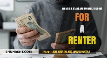 Monthly Budget Guide: What Renters Should Typically Spend Each Month