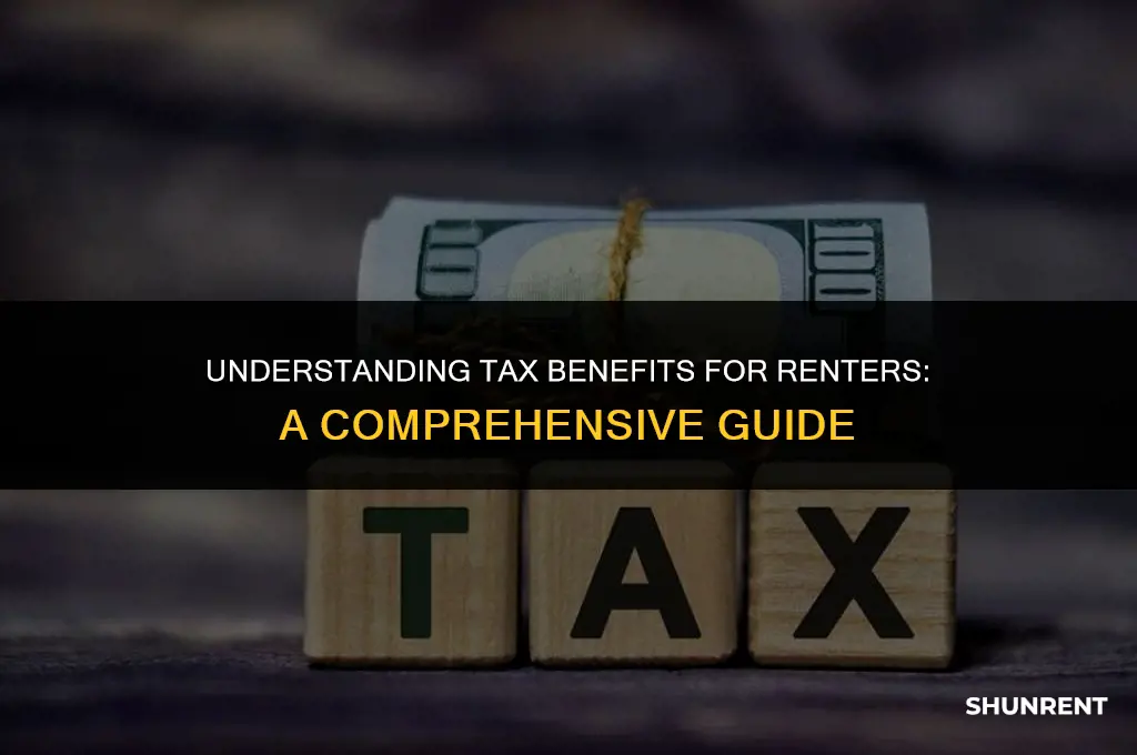 what is a tax benefit period renter