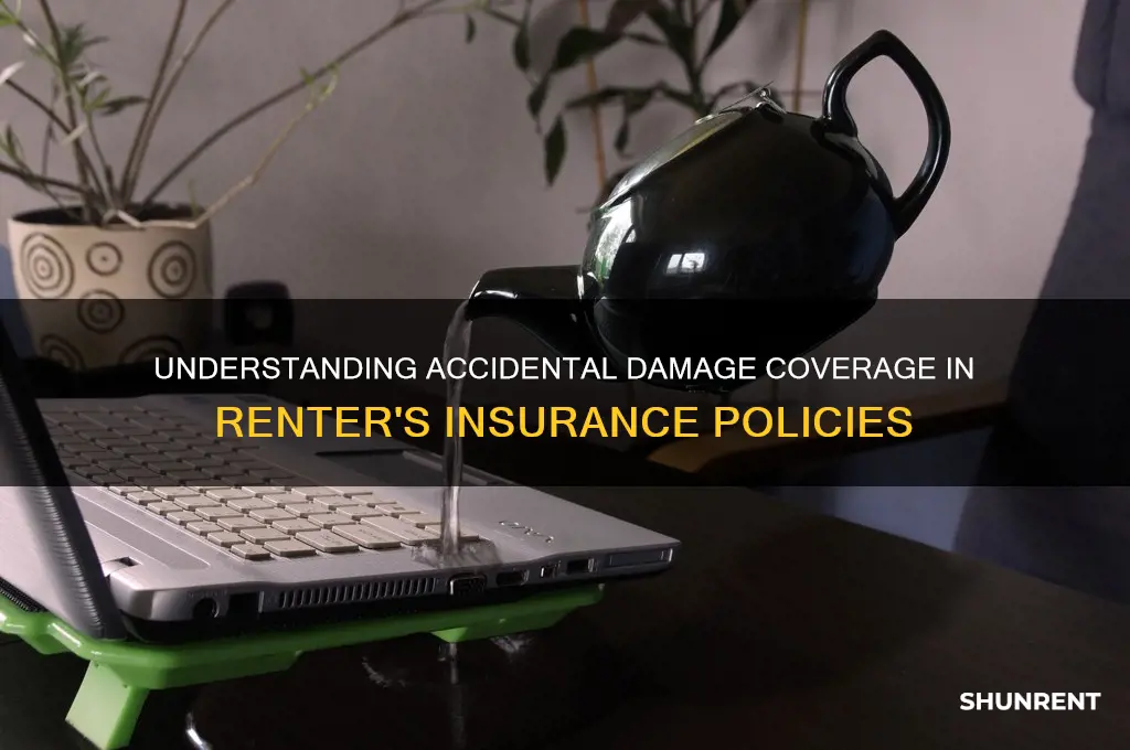 what is accidental damage for renter
