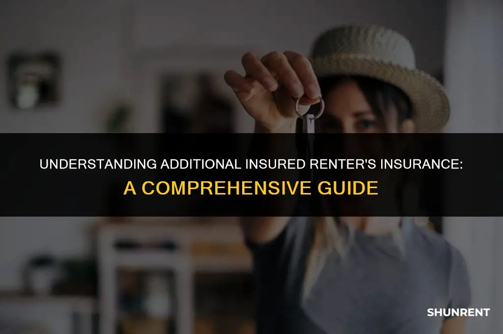 what is additional insured renter