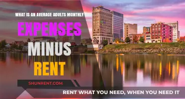 Understanding Average Monthly Expenses for Adults Excluding Rent