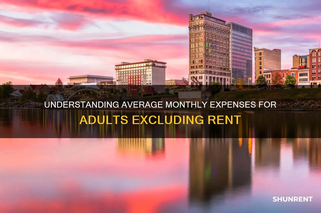 what is an average adults monthly expenses minus rent