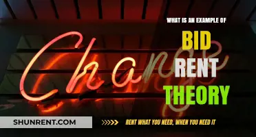 Understanding Bid Rent Theory: Real-World Example Explained Simply