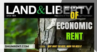 Understanding Economic Rent: A Practical Example for Clarity