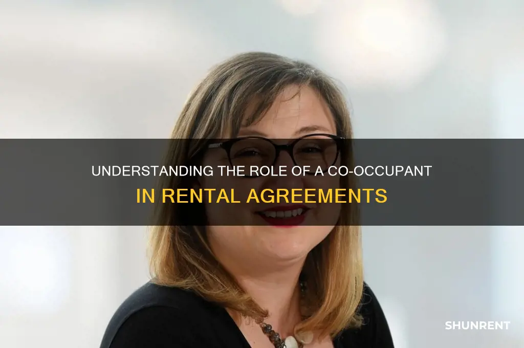 what is an individual called who stays with a renter