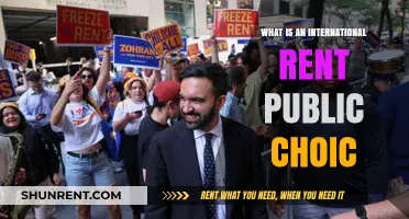 Exploring the Global Debate: International Rent as a Public Choice