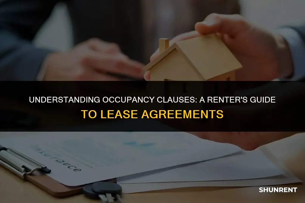 what is an occupancy clause for renter