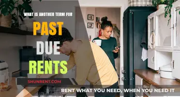 Understanding Late Rent Payments: Alternative Terms for Past Due Rents
