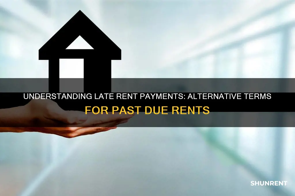 what is another term for past due rents