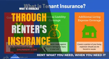 Safeguarding Your Space: A Comprehensive Guide to Renter's Insurance
