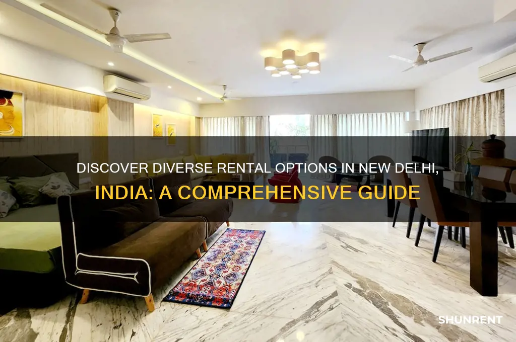 what is availible to rent in new delhi india