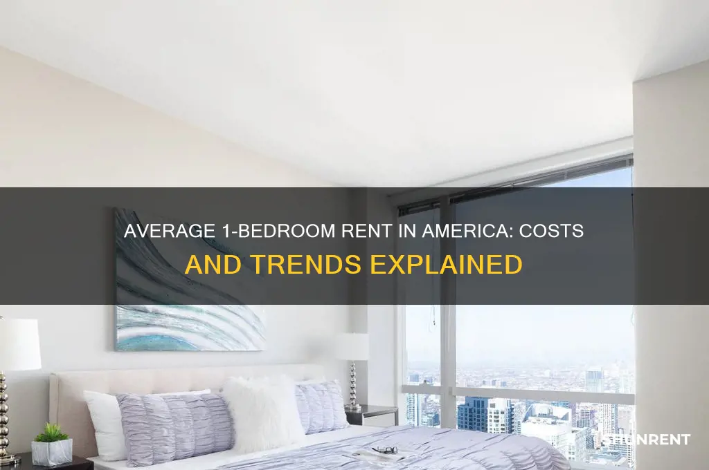 what is average 1 bed rent in america