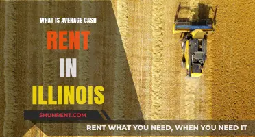 Exploring the Average Cash Rent in Illinois: A Comprehensive Guide