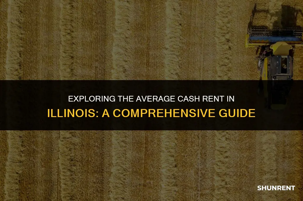 what is average cash rent in illinois