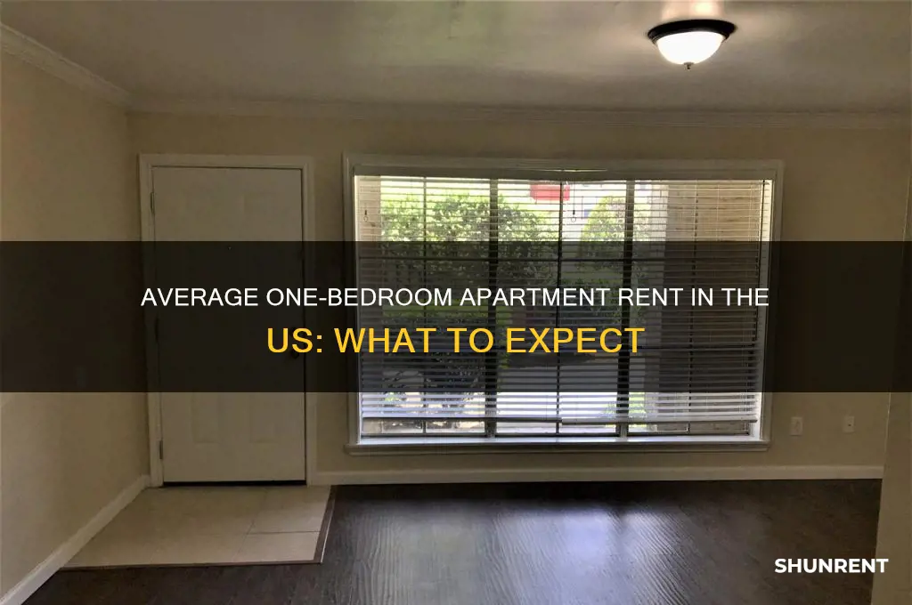 what is average one bedroom aprtment rent in us